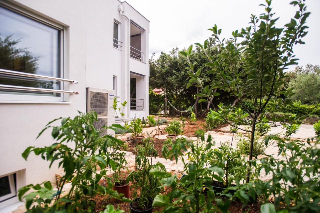 Apartments Jedro Petrčane Exterior foto